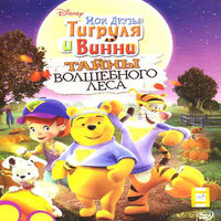 Мои друзья Тигруля и Винни: Мюзикл волшебного леса
